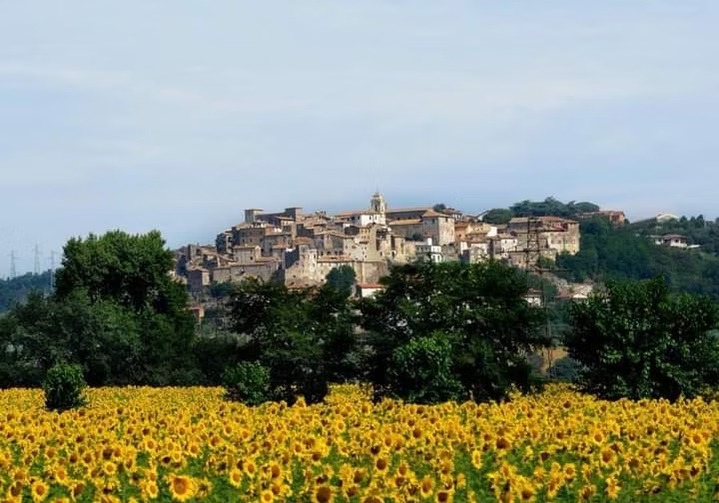 Miadimia · Tenuta La Pazzaglia