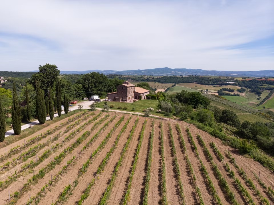 Palagio · Tenuta La Pazzaglia